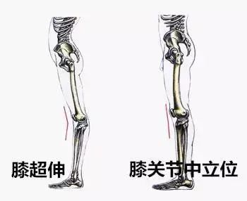 长期坚持练习这组动作有效缓解膝盖疼痛(图13)