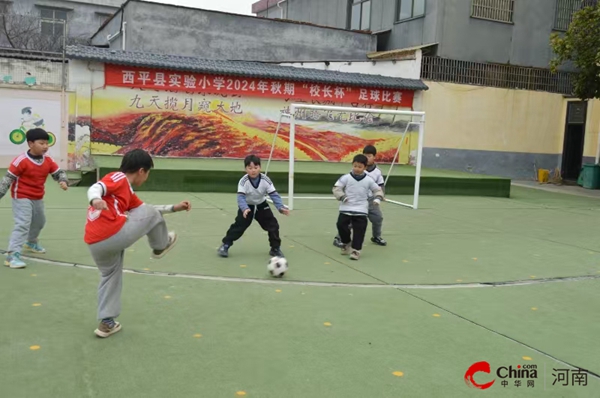 球场展锋芒少年意气扬——西平县实验小学2024年秋期“校长杯”足球比赛圆满落幕威廉希尔(图3)